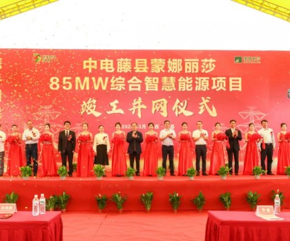 廣西最大工商業(yè)屋頂光伏項(xiàng)目在蒙娜麗莎正式并網(wǎng)啟用！