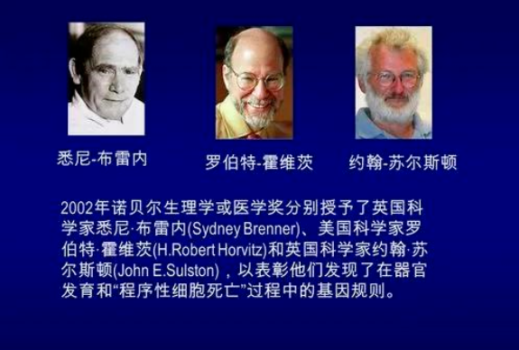 1672305891918650.png 負(fù)氧離子竟然能預(yù)防新冠病毒來聽專家解讀3.png