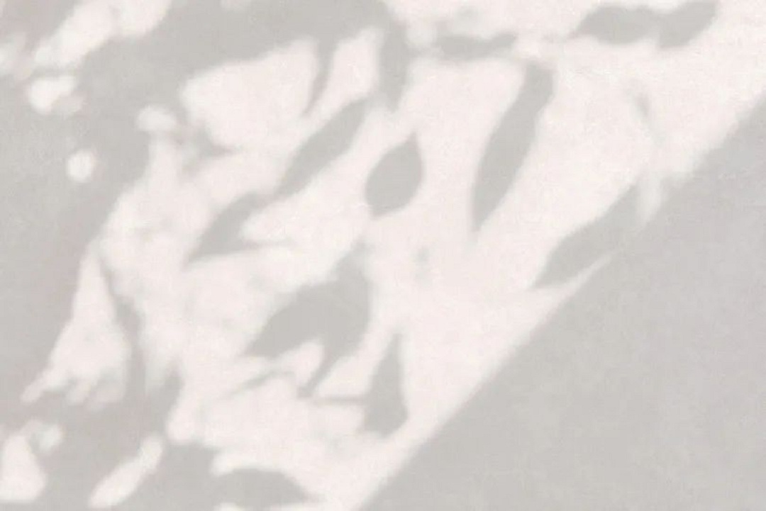 1692948230597970.jpg 13.jpg