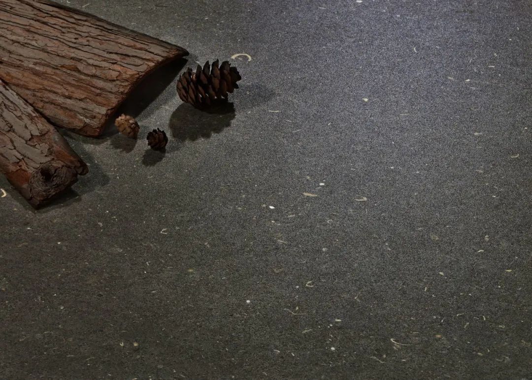 1697616450840070.jpg 17.jpg