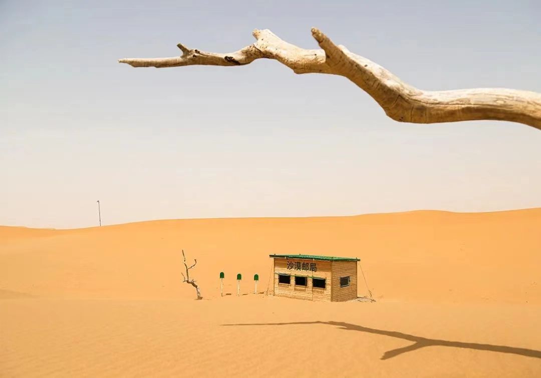 1720754145684570.jpg 4.jpg